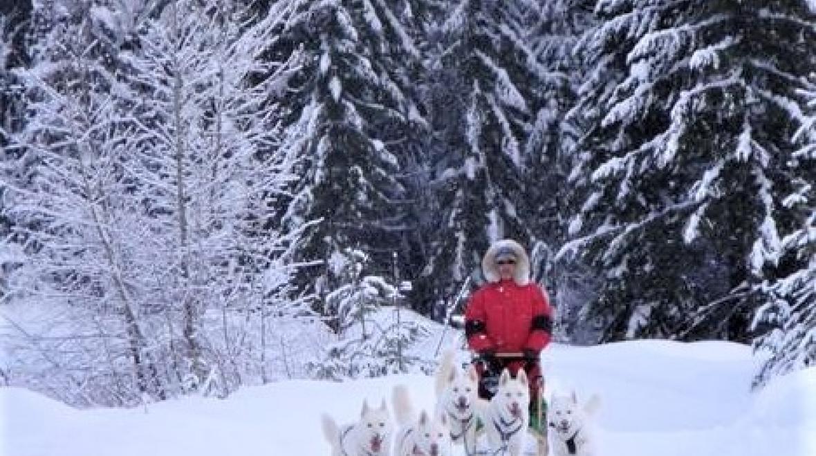 Train Trips, Sleigh Rides and Dog Sled Adventures for Seattle-Area